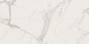 Fioranese Ceramica Marmorea Bianco Statuario Matte 30x60