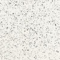 RIALTO WHITE LEVIGATO 20X20