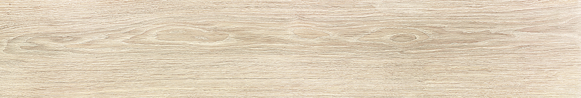 PAGLIA TECNICA R11 20 x 120 E0ML