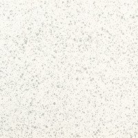 RIALTO ZINC LEVIGATO 20X20