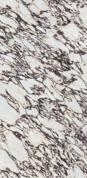 Mb22 calacatta viola lev