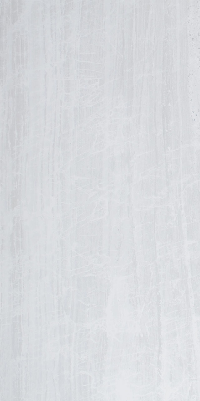 NANOESSENCE WHITE LAPPATO 90х45