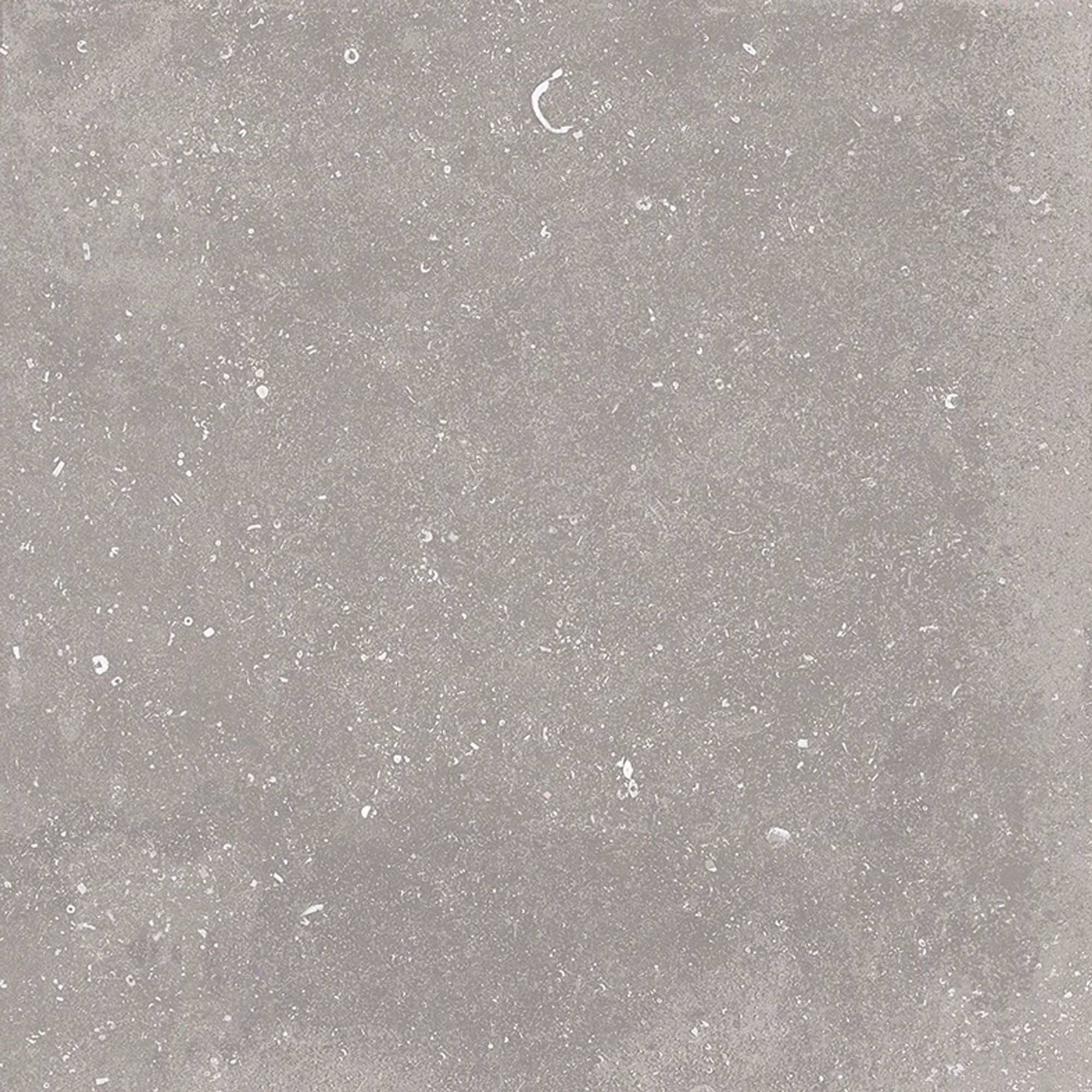 NOBLE NATURALE GRIS 80 x 80 EHFL