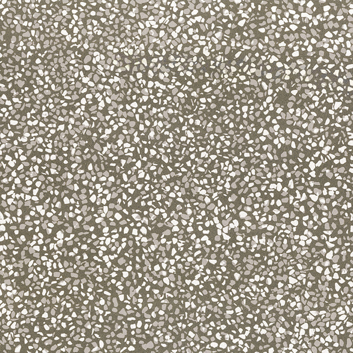 MONOSCOPIO MO01F25