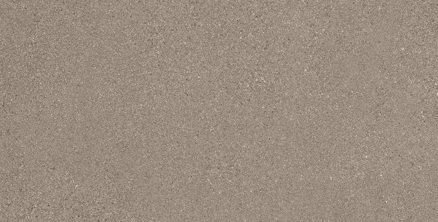 ROUGH GRAIN TAUPE LAPPATO 60 x 120 E0D6