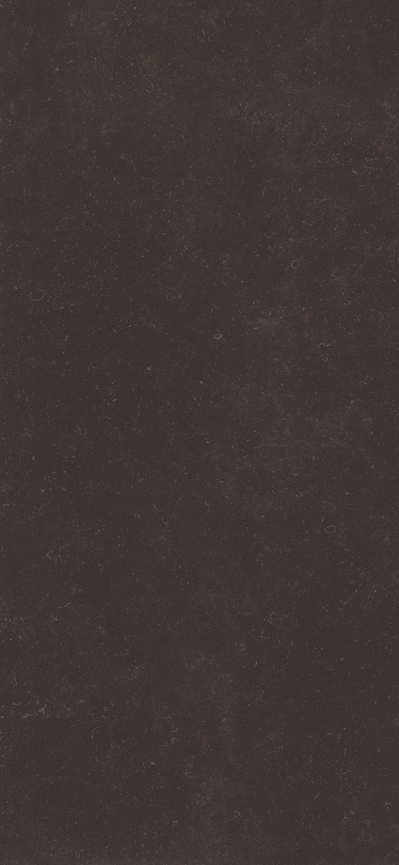 ST.VINCENT ANTHRACITE POLISHED 120X260
