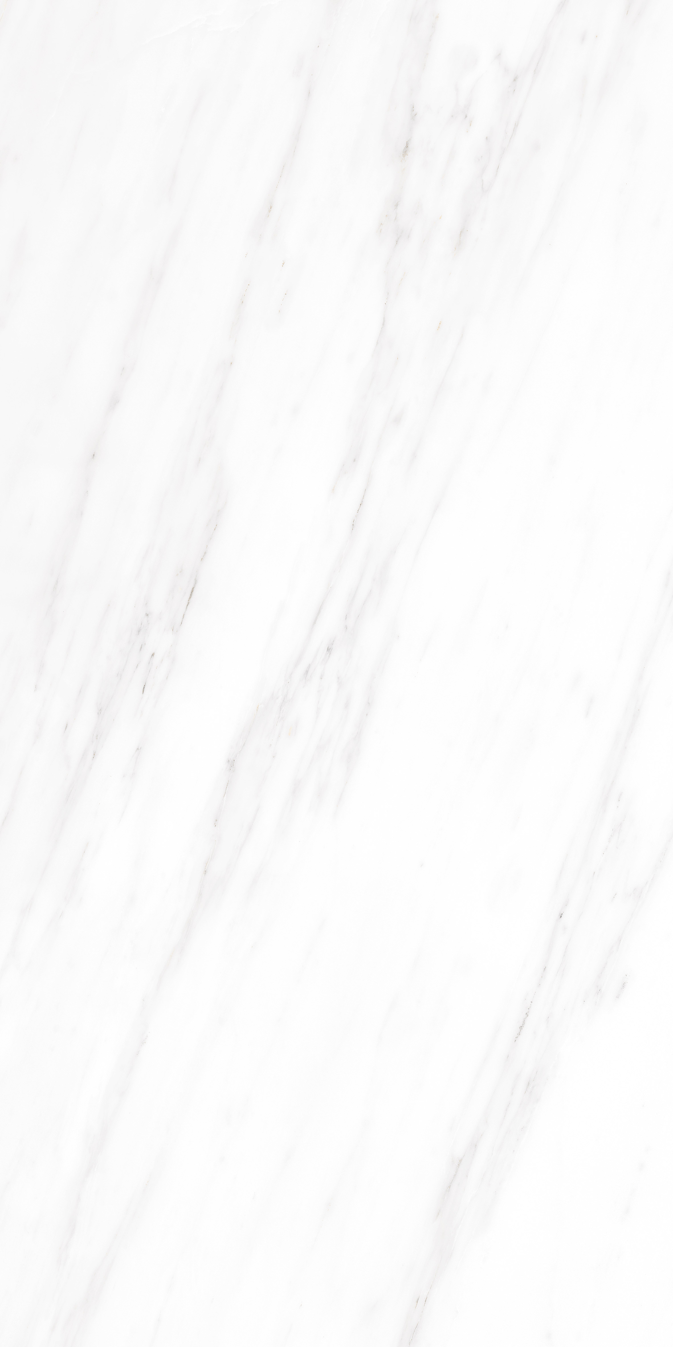 VENATO BIANCO TOUCH 3*60X120X6 LSXDLT3