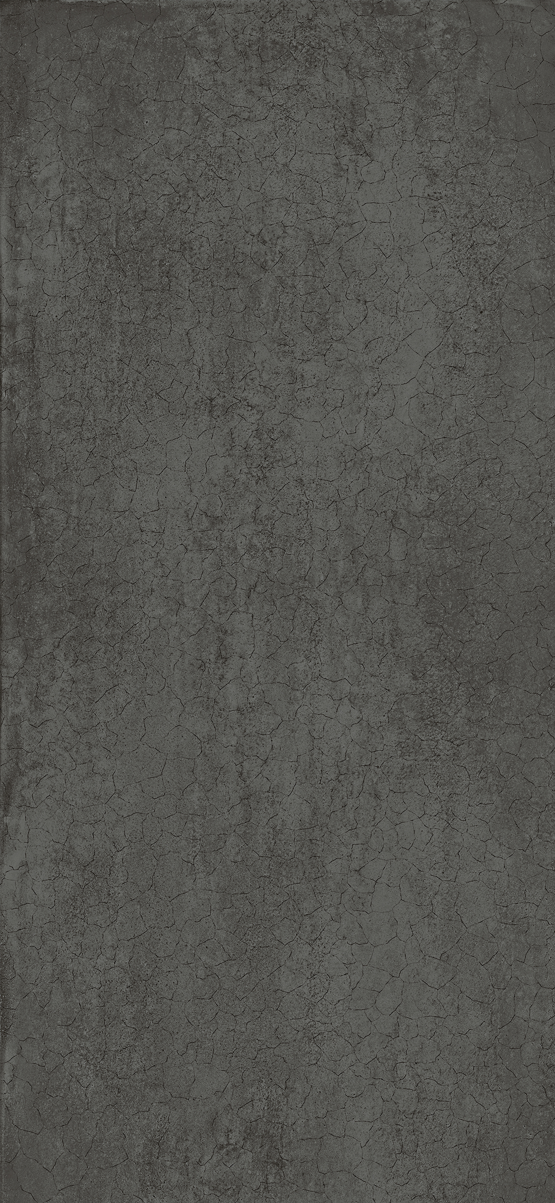 DRY CONCRETO DARK 260X120 LS6CND0