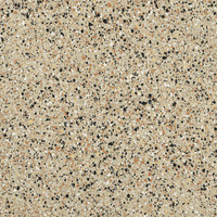 RIALTO BEIGE LEVIGATO 20X20