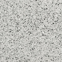 RIALTO SILVER LEVIGATO 20X20