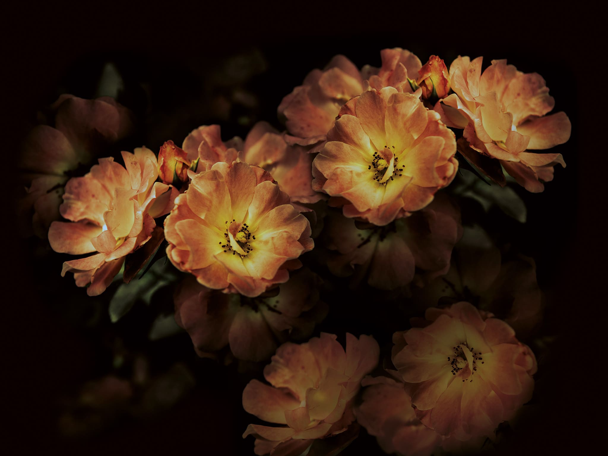 Codice Prodotto Aroma INKGLXY1903