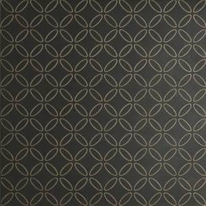 08300012 Fiumi Shiraz Bronzo Po Nero Rett 60X60