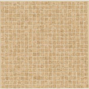 MOSAICO ICE LAPPATO 30 x 30 E13T