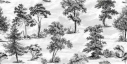 6000680 Decorandum Saltus 50X100