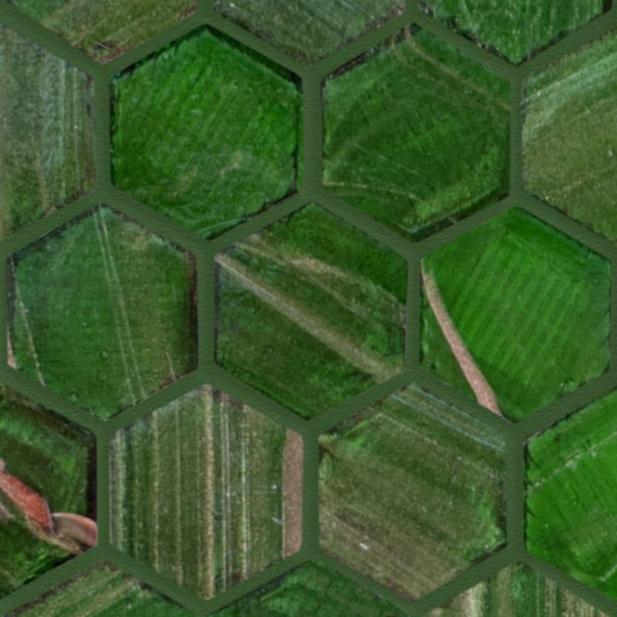 HEXAGONAL COLORS 236 3X3,5