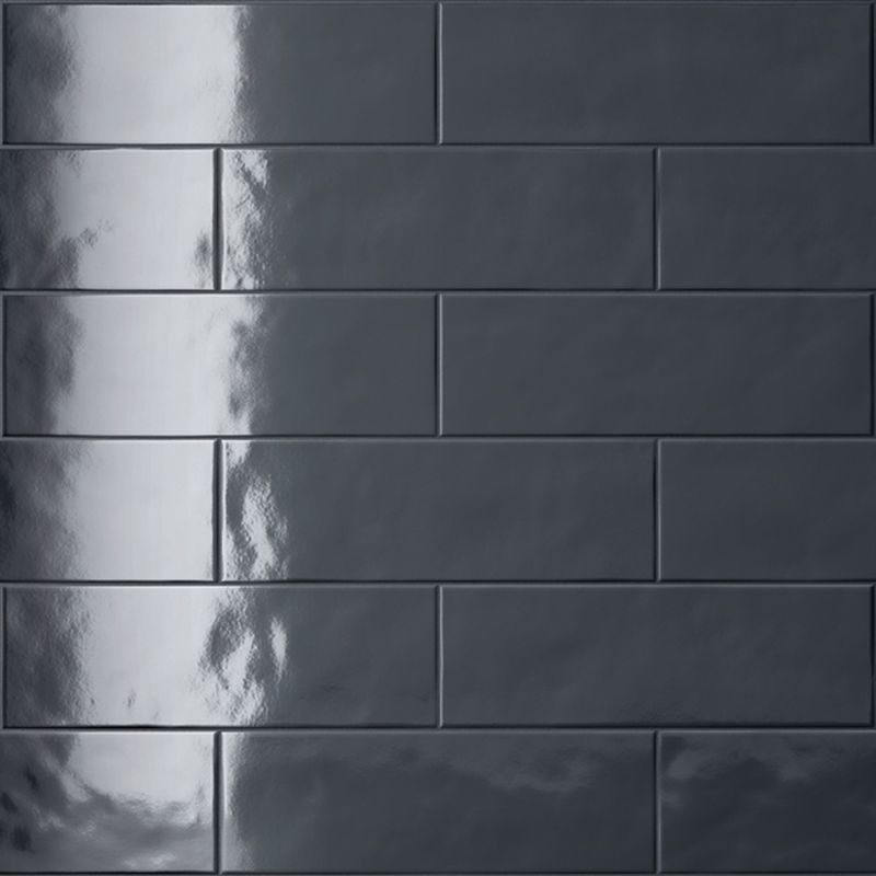 NUANCES PETUNIA NERA LUX