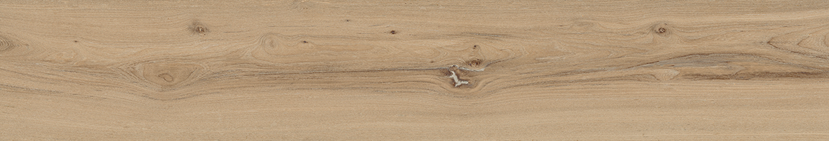 OLMO DORATO 25 x 120 EH5R