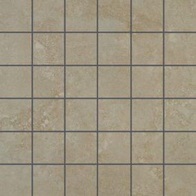 EVOLUTION VISON LAP MOS 5X5