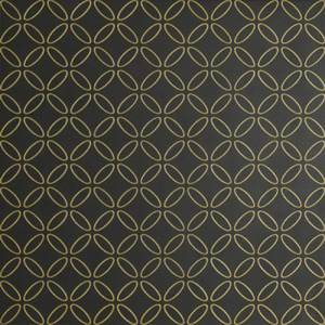 08300010 Fiumi Shiraz Oro Po Nero Rett 60X60