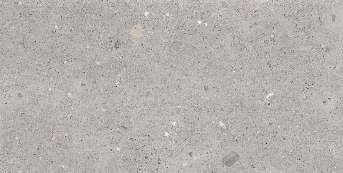 GRIGIO NATURALE 60 x 120 EGP1