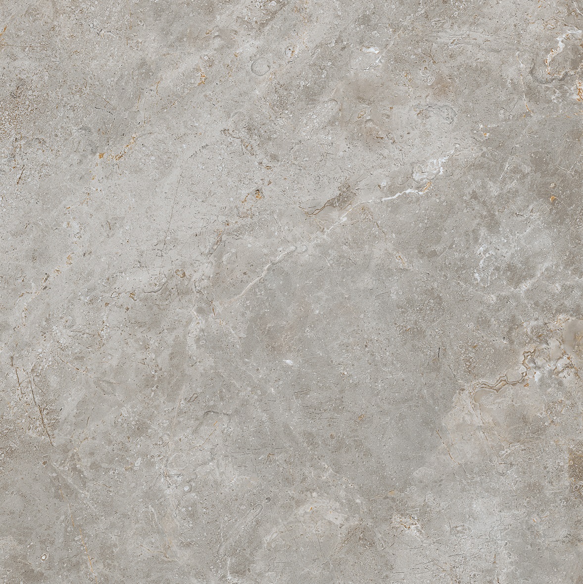 FIOR DI BOSCO LUCIDO 60x60 NL52