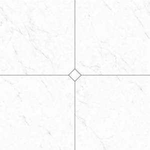 6000601 Comp. Carrara 4 Pz 120X120