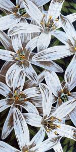 FLO 4W/X Flower Power Purity White 150X290