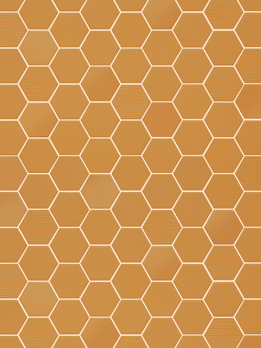 Hexa Yellow Corn mosaic mix