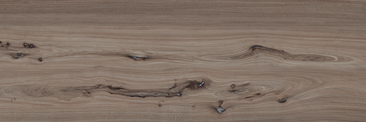 OLMO TINTO 40 x 120 EH67