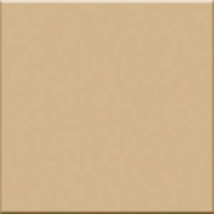 TR beige20                                        TR beige10Trasparenze Tr Beige Mq 20X20 Levigato 7