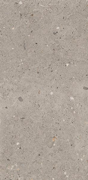 GRIGIO NATURALE 30 x 60 EGP6