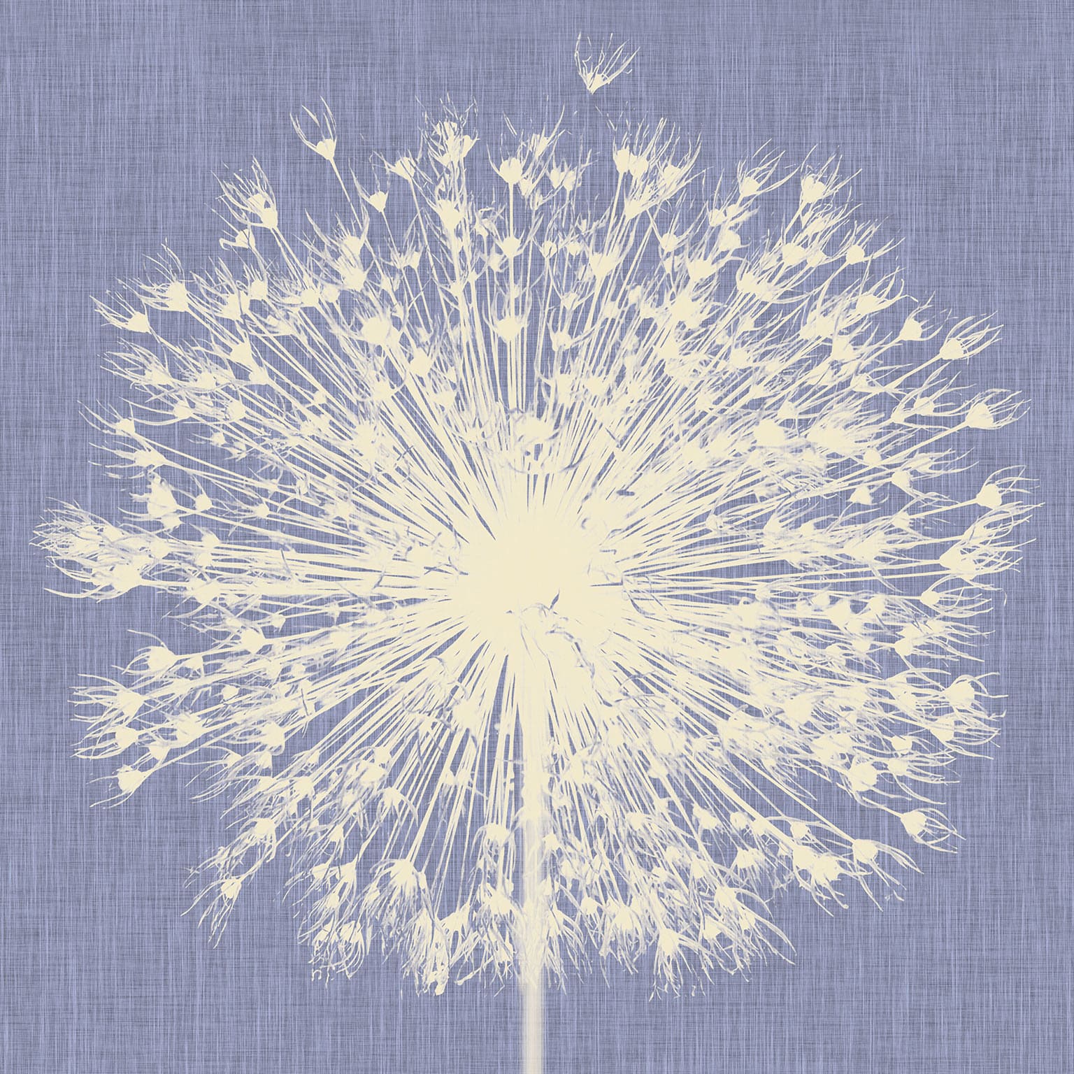 Codice Prodotto Breath INKNNLM1406