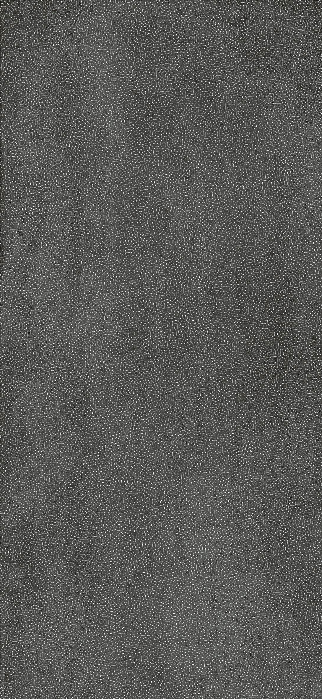 REEF CONCRETO DARK 260X120 LS6CNR0