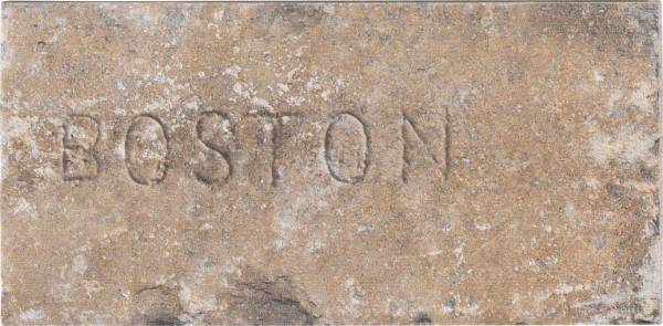 1047423 Chicago City Mix South Side 10X20