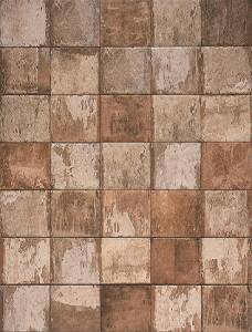 1052969 Havana Cohiba Cotto 20X20