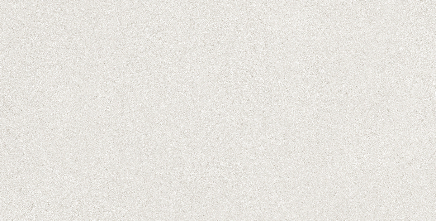 FINE GRAIN WHITE LAPPATO 60 x 120 E0AA