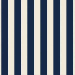 RG11-08 Grand Elegance Riga Grande Blu Su Panna 20X20