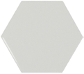 23295 Scale Hexagon Mint 10,7X12,4
