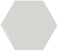 23295 Scale Hexagon Mint 10,7X12,4