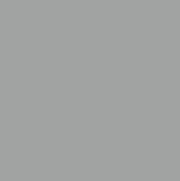 SILVER 30X30