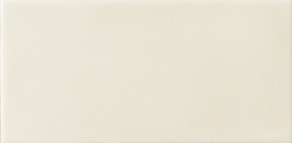 BEIGE MATT 10X20