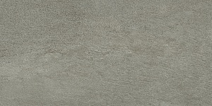 MINIMAL TAUPE NATURALE 30 x 60 ED52