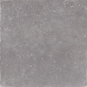 NOBLE NATURALE GRIS 120 x 120 EHJ8