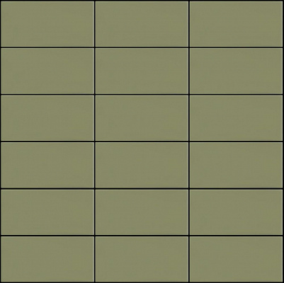 SETA 2010 OLIVA 5X10