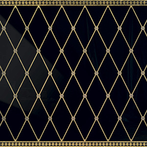 REGIUM FEATHER BLACK