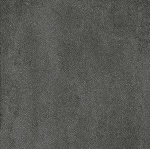 REEF CONCRETO DARK 120X120 LS8CNR0