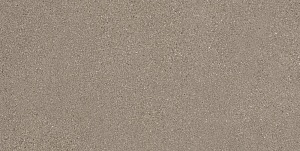 FINE GRAIN TAUPE LAPPATO 60 x 120 E0AD