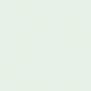 BIANCO_LISCIO_20X20