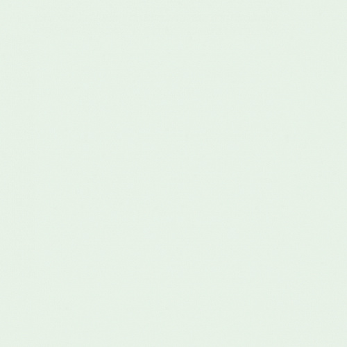 BIANCO_LISCIO_20X20