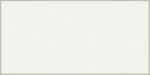 BIANCO LUCIDO 30x60 NH10